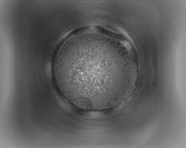X0000113570154200909251141