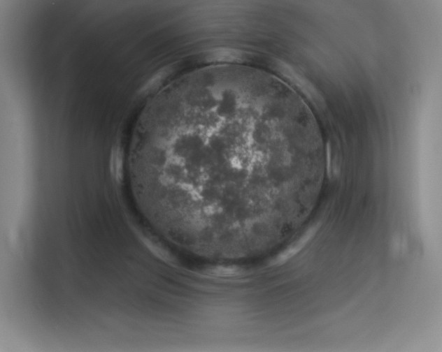 X0000113570157200909251142