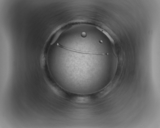 X0000113570160200909251142