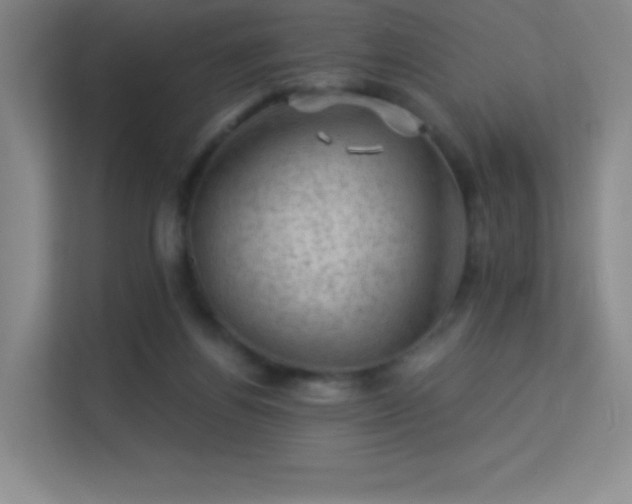 X0000113570164200909251142