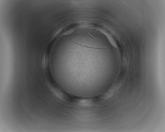 X0000113570168200909251142