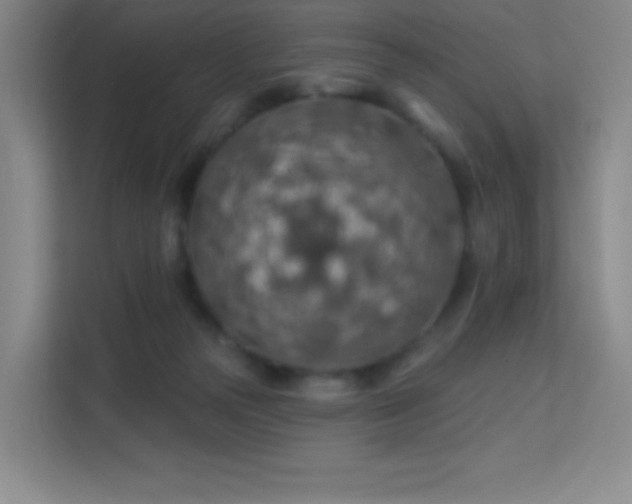 X0000113570169200909251142