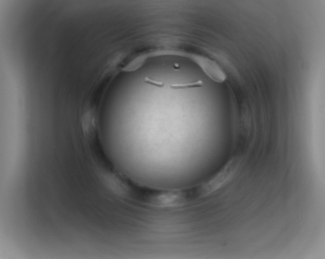 X0000113570172200909251142