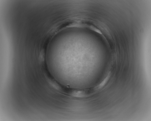 X0000113570174200909251142