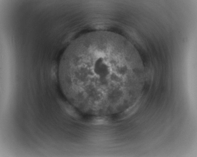 X0000113570175200909251142