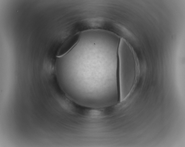 X0000113570176200909251142