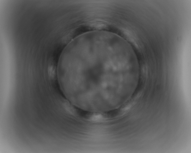 X0000113570177200909251142