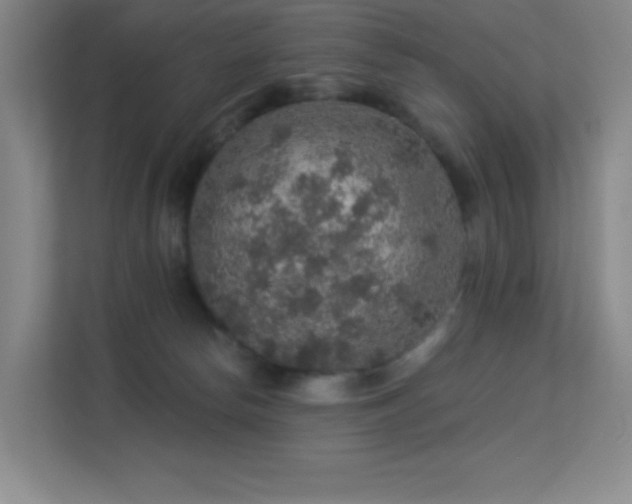 X0000113570178200909251142