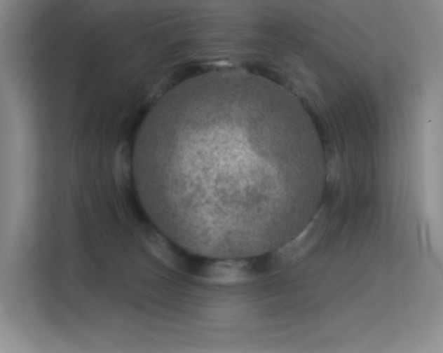 X0000113570179200909251142