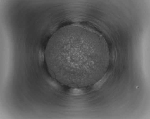 X0000113570180200909251142