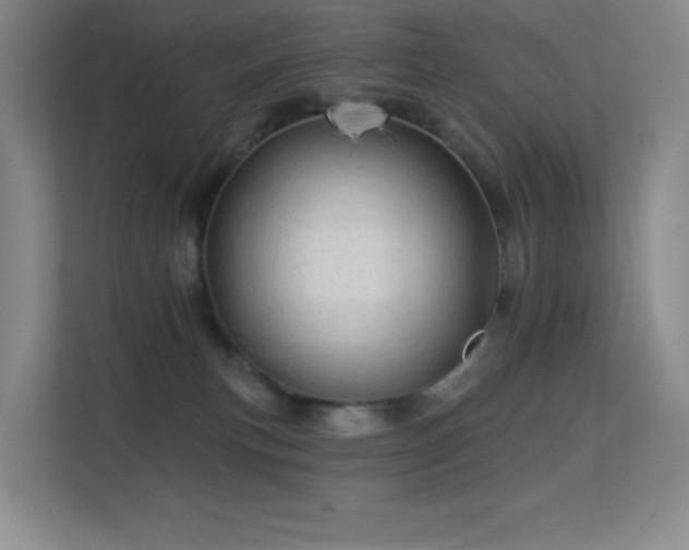X0000113570183200909251142