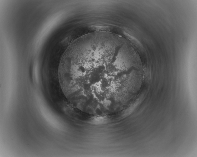 X0000113570189200909251142