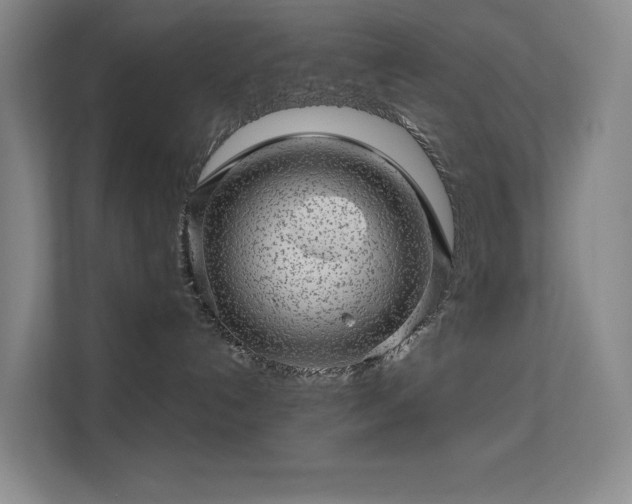 X0000113570192200909251142