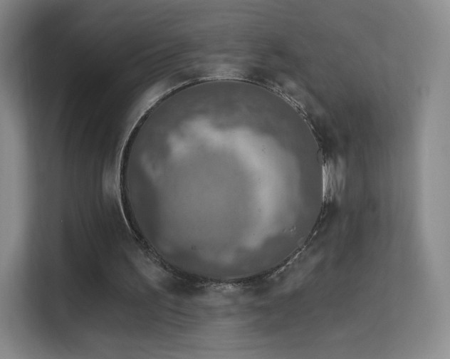 X0000113570195200909251141