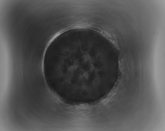 X0000113570196200909251141