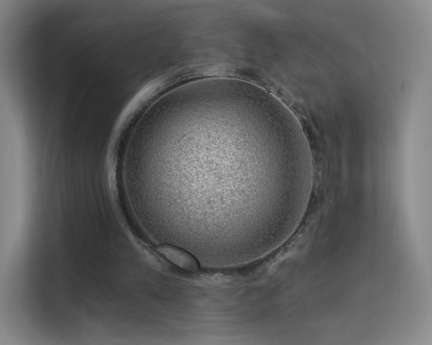 X0000113570197200909251141