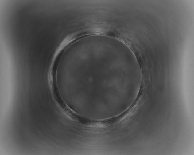 X0000113570198200909251141