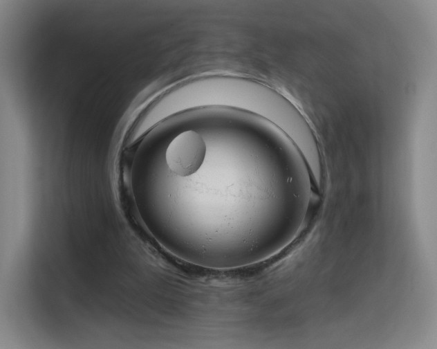X0000113570199200909251141