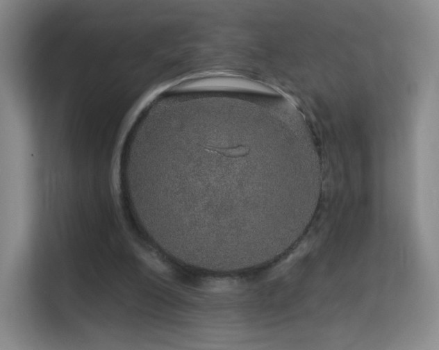 X0000113570200200909251141