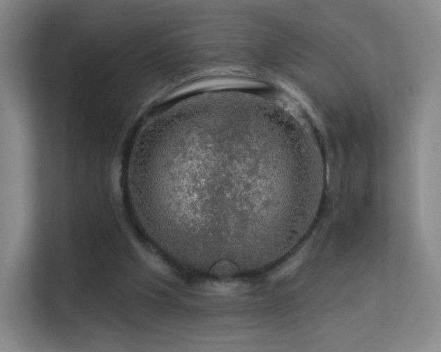 X0000113570201200909251141