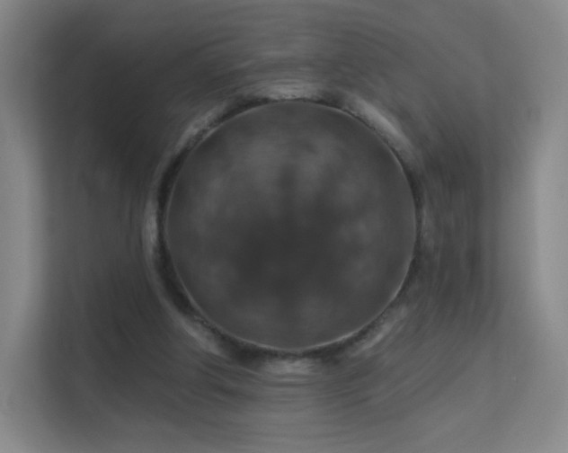 X0000113570202200909251141