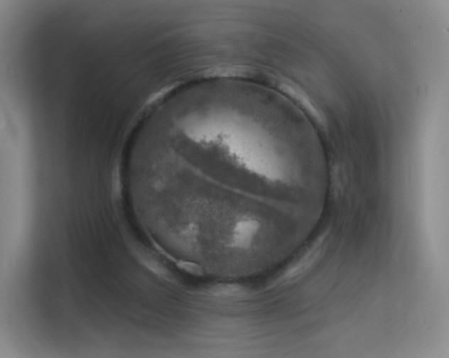 X0000113570203200909251141