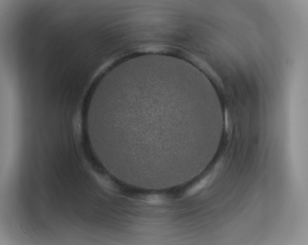 X0000113570204200909251141