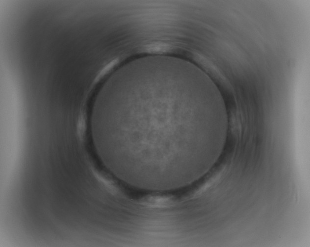 X0000113570208200909251141