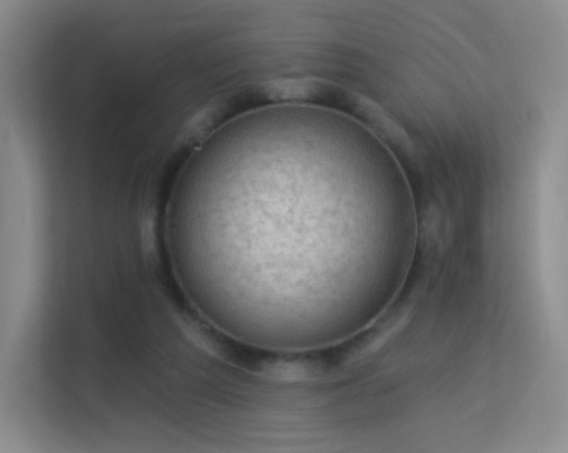 X0000113570209200909251141
