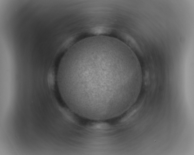 X0000113570210200909251141
