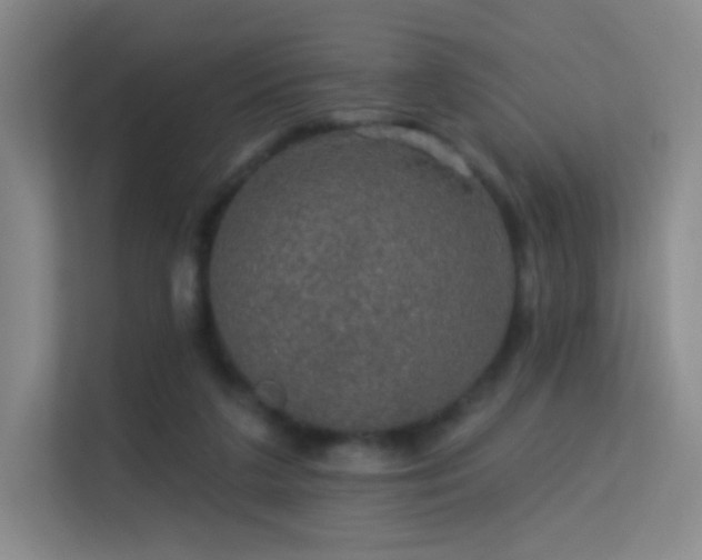 X0000113570211200909251141