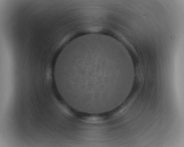 X0000113570212200909251141