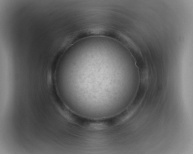 X0000113570213200909251141