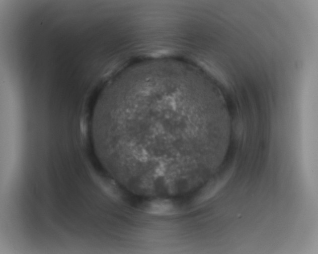 X0000113570214200909251141