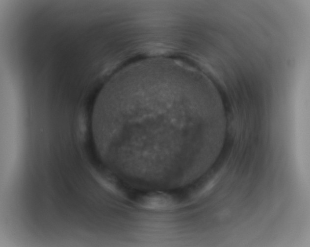 X0000113570215200909251141