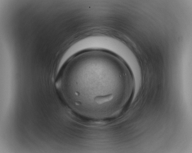 X0000113570217200909251141
