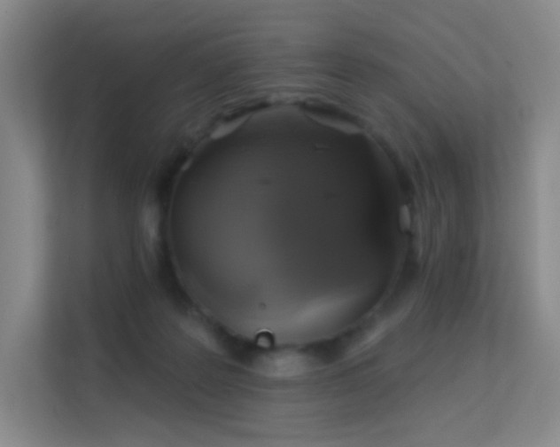 X0000113570219200909251141