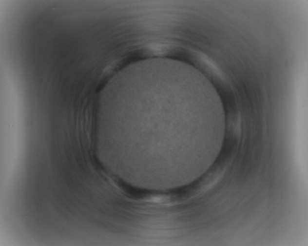 X0000113570220200909251141