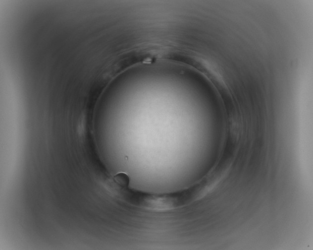 X0000113570221200909251141