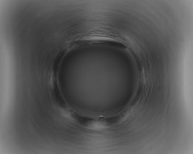 X0000113570223200909251141