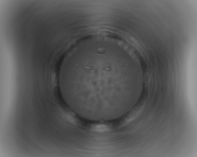 X0000113570224200909251141
