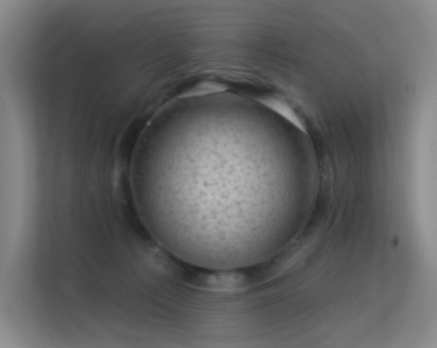 X0000113570225200909251141