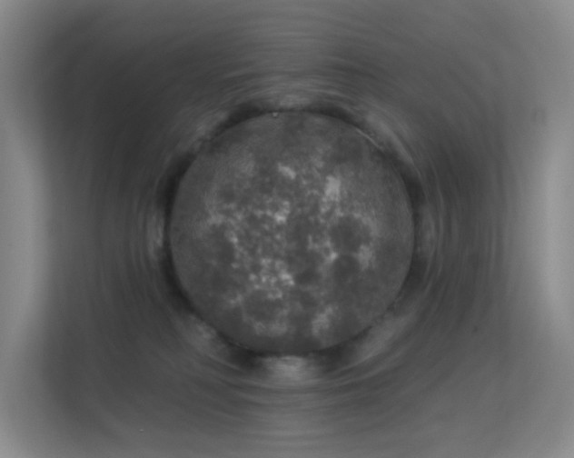 X0000113570230200909251141