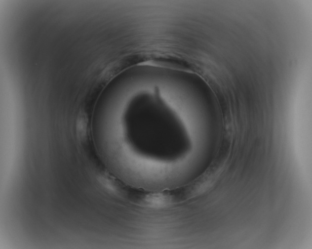 X0000113570231200909251141