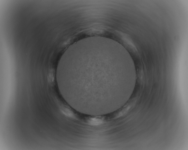 X0000113570232200909251141