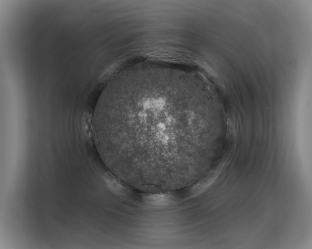 X0000113570237200909251141