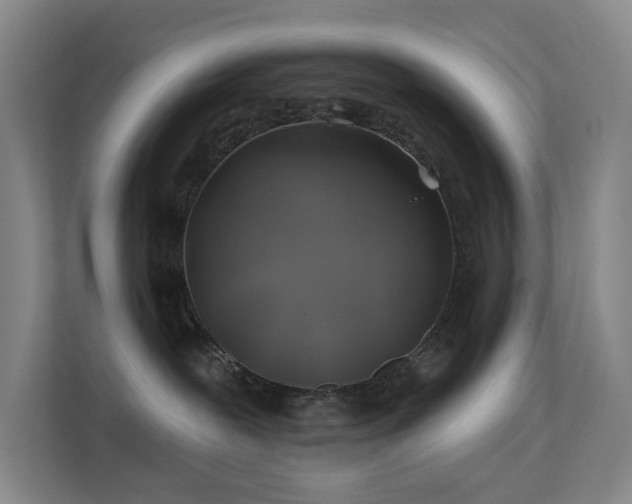 X0000113570239200909251141