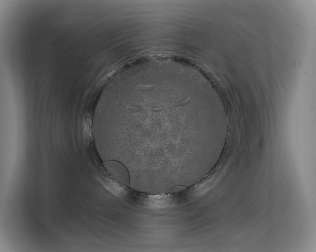 X0000113570240200909251141