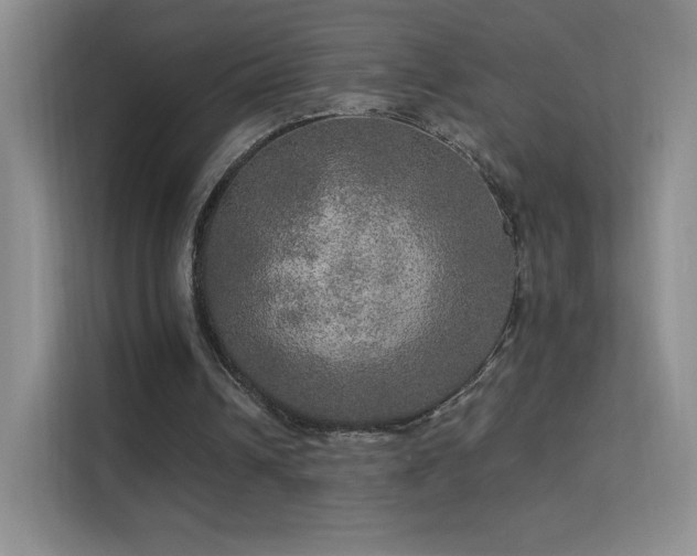 X0000113570242200909251140