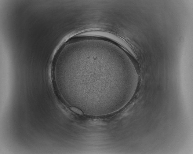 X0000113570244200909251140